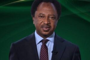 Shehu Sani Says Nigerians Keep Voting Themselves Into Trouble
