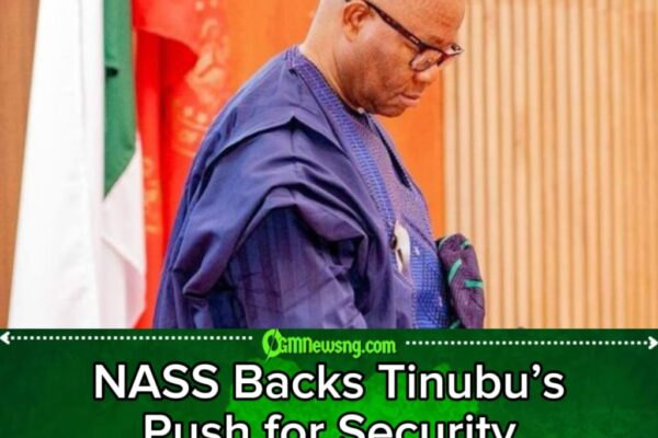 NASS, Security and the State Police Gamble: Tinubu Gets Powerful Backing as Nigerians Demand More Than Political Promises