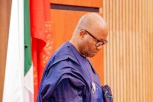 NASS, Security and the State Police Gamble: Tinubu Gets Powerful Backing as Nigerians Demand More Than Political Promises
