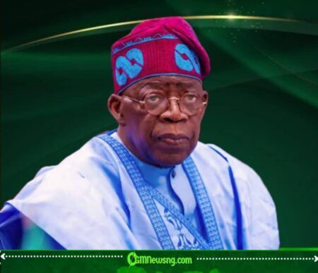Subsidy Gamble: Why Tinubu’s Political Risk Could Redefine Nigeria’s Economic Future