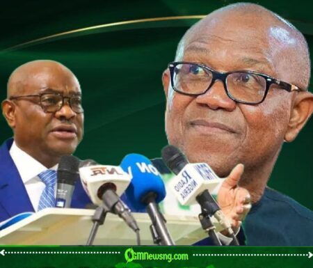FCT Minister Nyesom Wike: “Peter Obi Runs Away When Party Problems Start