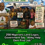 258 Nigerians Return from South Africa, Government Beg Society for Reintegration—Because Alone Dem No Fit”