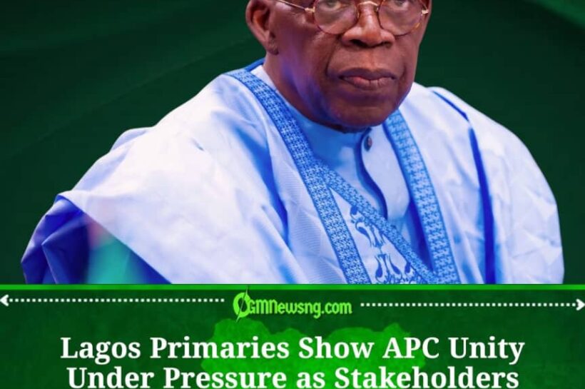 APC Stakeholders Call on Tinubu to Resolve Lagos Primaries Dispute