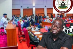 Senate Rebukes Adams Oshiomhole Over Explosive Allegation