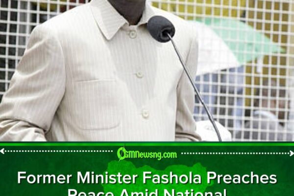 Former Governor Babatunde Fashola Urges Nigerians to Drop Conflict and Embrace Peace