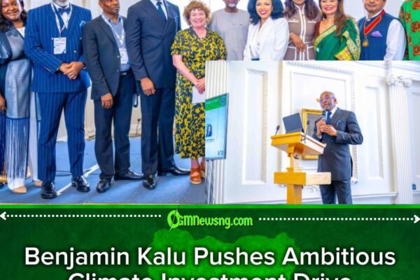 Benjamin Kalu Says Nigeria Is Open for Green Investment Business