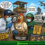 Bird Flu Don Turn VIP Guest As FG Carry Surveillance Torch Enter Poultry Village