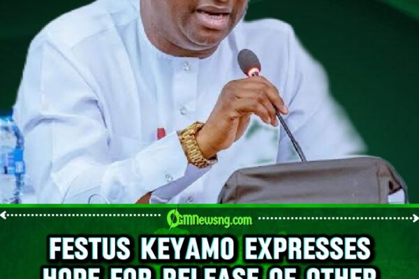 Aviation Minister Festus Keyamo Declares “The Others Are Coming Home Soon” After High-Profile Rescue
