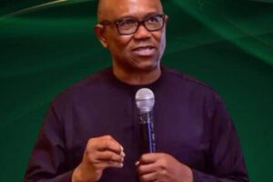 Forest Guards Debate Deepens as Obi Questions Tinubu’s Security Strategy