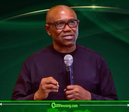 Forest Guards Debate Deepens as Obi Questions Tinubu’s Security Strategy