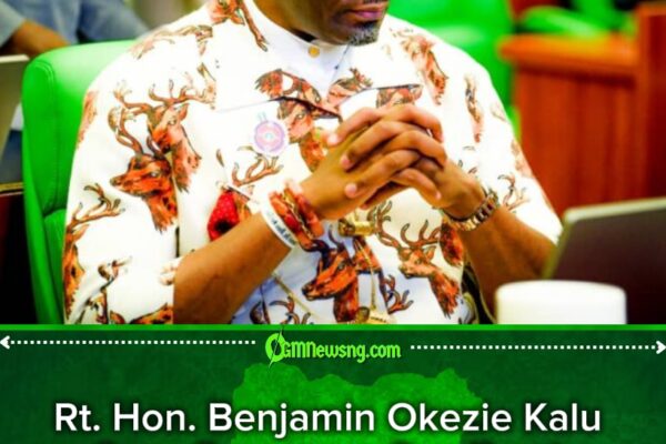 No Excuse Left” — Kalu Pressures Governors Over Security Spending