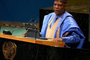 Vice President Kashim Shettima: Nice Men Don’t Always Make Effective Leaders