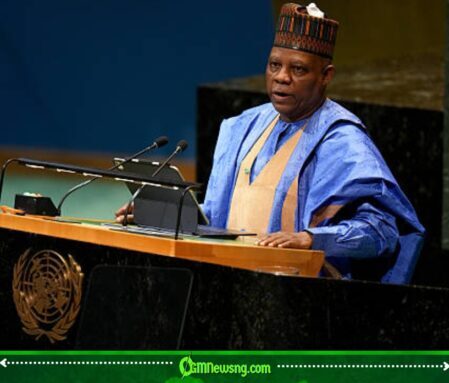 Vice President Kashim Shettima: Nice Men Don’t Always Make Effective Leaders