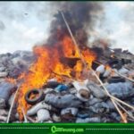 NDLEA and Cannabis: N2.8bn Drug Inferno Sends Shockwave Through Edo’s Underworld
