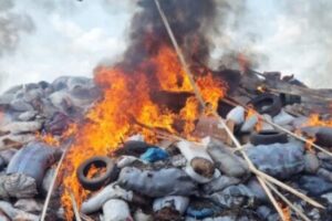 NDLEA and Cannabis: N2.8bn Drug Inferno Sends Shockwave Through Edo’s Underworld