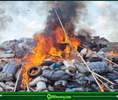 NDLEA and Cannabis: N2.8bn Drug Inferno Sends Shockwave Through Edo’s Underworld