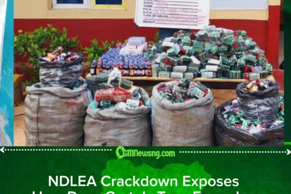 NDLEA Crackdown Exposes Hidden Opioid Trafficking Network as Grandpa, Female Dealers and Young Suspects Fall in Nationwide Sweep