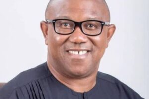 PETER OBI'S NORTHERN RESISTANCE: IS THE 2027 COALITION DREAM ALREADY SHOWING CRACKS?