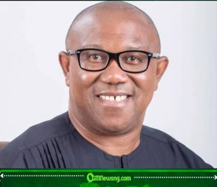 PETER OBI'S NORTHERN RESISTANCE: IS THE 2027 COALITION DREAM ALREADY SHOWING CRACKS?