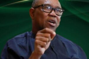 Peter Obi and Party Unity: Why the Real Battle May Begin After the Primaries.