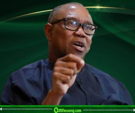 Peter Obi and Party Unity: Why the Real Battle May Begin After the Primaries.