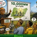 10,000MW Without User Manual? Power Supply Promise Dey Shine, Nigerians Still Dey Find Switch