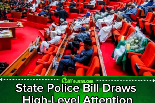 STATE POLICE SHOWDOWN: Governors Flood Senate as Nigeria Edges Toward Historic Security Reform