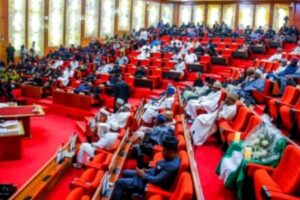 STATE POLICE SHOWDOWN: Governors Flood Senate as Nigeria Edges Toward Historic Security Reform