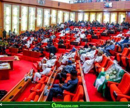 STATE POLICE SHOWDOWN: Governors Flood Senate as Nigeria Edges Toward Historic Security Reform