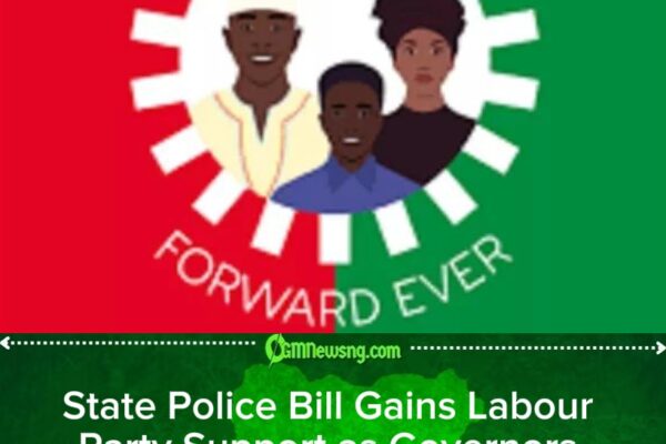 STATE POLICE: NIGERIA'S SECURITY GAMBLE COULD GIVE GOVERNORS MORE POWER THAN EVER