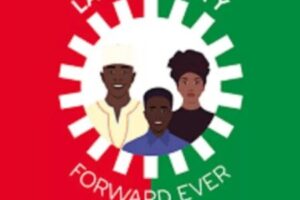STATE POLICE: NIGERIA'S SECURITY GAMBLE COULD GIVE GOVERNORS MORE POWER THAN EVER