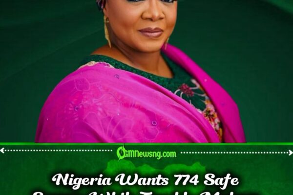 Safe Spaces Revolution or Another Grand Promise? FG Targets All 774 LGAs in Bold Gender-Based Violence Crackdown