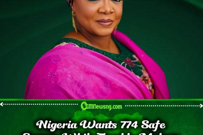 Safe Spaces Revolution or Another Grand Promise? FG Targets All 774 LGAs in Bold Gender-Based Violence Crackdown
