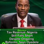 Tax Revenue Crisis: Taiwo Oyedele Says Nigeria Is Still Not Collecting Enough Taxes as Government Pushes Sweeping Reforms