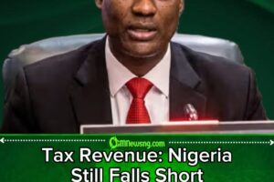Tax Revenue Crisis: Taiwo Oyedele Says Nigeria Is Still Not Collecting Enough Taxes as Government Pushes Sweeping Reforms