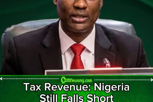 Tax Revenue Crisis: Taiwo Oyedele Says Nigeria Is Still Not Collecting Enough Taxes as Government Pushes Sweeping Reforms