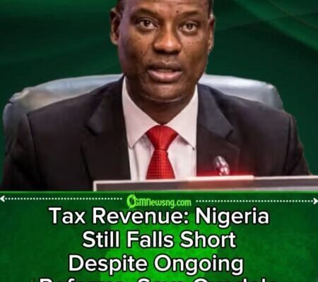 Tax Revenue Crisis: Taiwo Oyedele Says Nigeria Is Still Not Collecting Enough Taxes as Government Pushes Sweeping Reforms