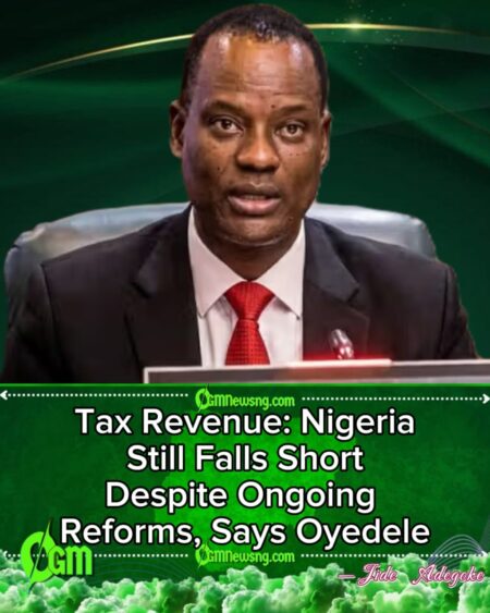 Tax Revenue Crisis: Taiwo Oyedele Says Nigeria Is Still Not Collecting Enough Taxes as Government Pushes Sweeping Reforms