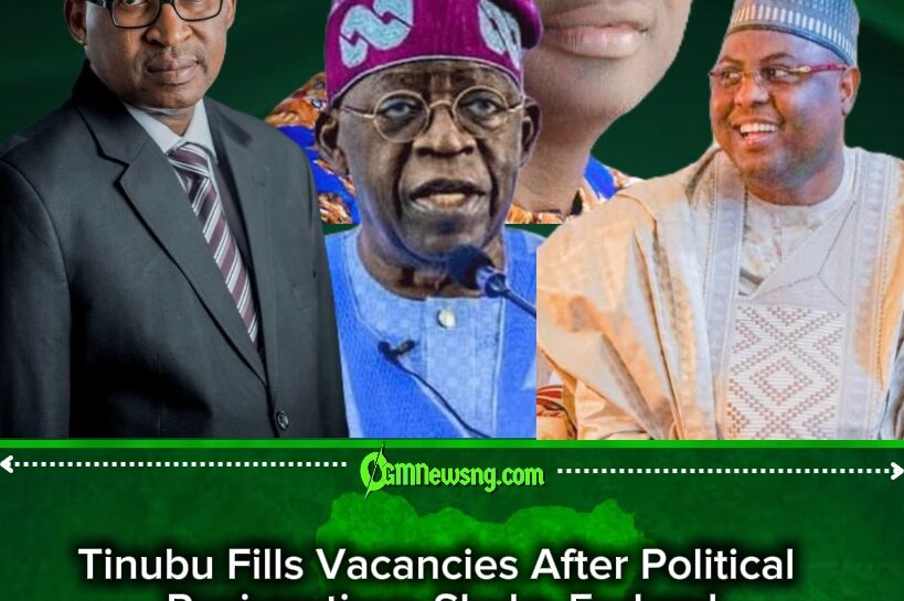 Tinubu's Fresh Appointments Spark Debate Over Political Recycling