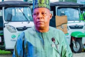 Federal Government to Deploy 10,000 Electric Tricycles Across Nigeria From August