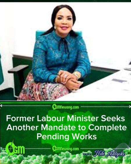 UNFINISHED PROJECTS OR UNFINISHED AMBITION? ONYEJEOCHA SEEKS RETURN AFTER SIXTEEN YEARS IN REPS