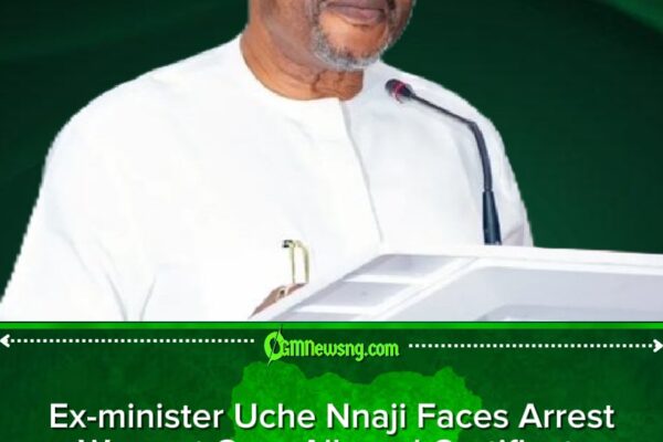 Ex-minister Uche Nnaji Hit With Arrest Warrant In Explosive Forgery Probe