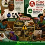 Minister Reveals Unsafe Food K!lls 53,000 Nigerians Every Year — "Your Stomach No Be Test Laboratory"