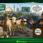 Wike & Cattle: Minister Accept Responsibility As Abuja Cows Continue Their Capital City Tour