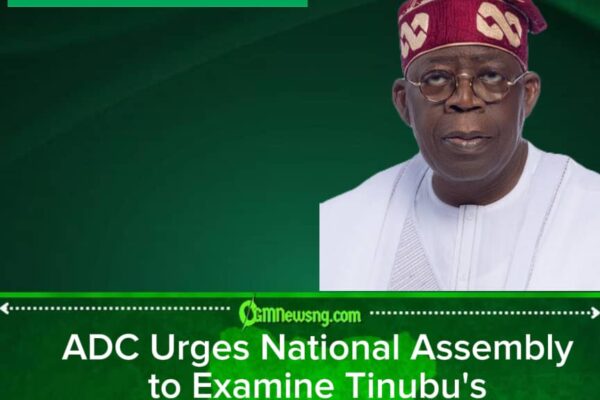 Who Is Holding the Steering Wheel? ADC Demands Fitness Check as Presidency Faces Fresh Questions