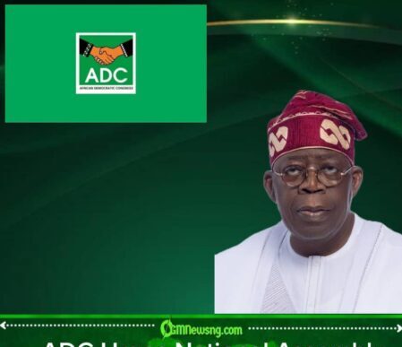 Who Is Holding the Steering Wheel? ADC Demands Fitness Check as Presidency Faces Fresh Questions