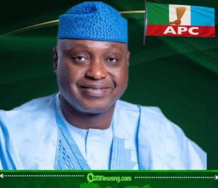 Supreme Court Locks the Door, APC Misplaces the Spare Key but Declares Victory Anyway