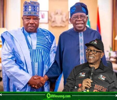 Ex Bornu Governor Ali Modu Sheriff Denies Backing Boko Haram, Accuses Peter Obi of Divisive Politics
