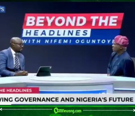 Babatunde Fashola Declares, “I Won’t Advise President Tinubu on Television”