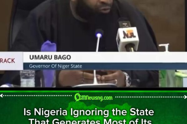 Governor Umaru Bago Stance: If Oil Gets Derivation, Why Not Electricity?